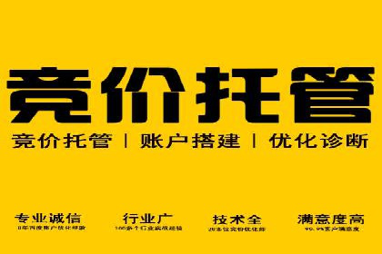 SEM代运营公司案例：实战经验分享